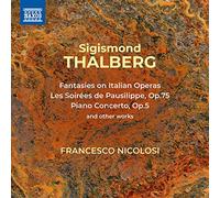 Hoover Type S Allergen Filter Bag, 4010100S [Kitchen]