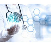 Francis Crick and Binding in the Brain