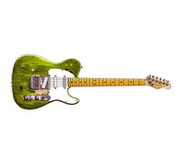 Francis Rossi's Fender Telecaster DL Greeting Card