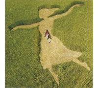 Franck Monnet - Au Grand Jour