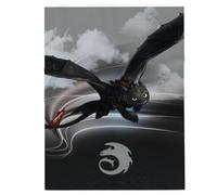 Franco How to Train Your Dragon Toothless Kids Bedding Super Soft Plush Cozy Throw, 46 in x 60 in, (Officially Licensed Product)