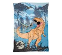 Franco Jurassic World Kids Bedding Super Soft Plush Throw Blanket, 62 in x 90 in, (Officially Licensed Product)
