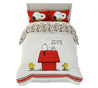 Franco Peanuts Classic Pals Super Soft Comforter and Sheet Set, 5 Piece Full Size, (Official Licensed Product) Collectibles