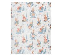 Franco Peter Rabbit Book Easter Kids Bedding Super Soft Cozy Throw, 46 in x 60 in, (Officially Licensed Product)