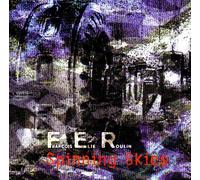 François-Elie ROULIN - Spinning Skies