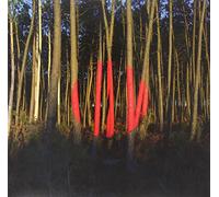 Francois & the Atlas Mountains - Piano Ombre [VINYL]