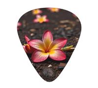 frangipani flowers Guitar picks in thin, medium, and thick sizes, 12-piece set, suitable for electric guitar and various instruments