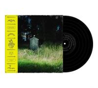 FRANK CARTER & FRANK CARTER THE RATTLESNAKES & THE RATTLESNAKES: DARK - LP vinyl