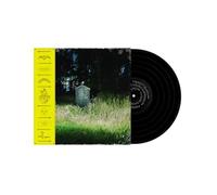 Frank Carter & The Rattlesnake - Dark Rainbow [VINYL]