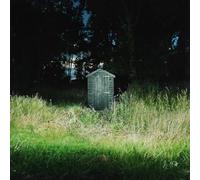 Frank Carter & The Rattlesnakes - Dark Rainbow [VINYL]
