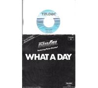 FRANK DUVAL - FRANK DUVAL featuring Peter Bischof / Aus der TV-Serie "Mensch, Bachmann" / WHAT A DAY / FADE OUT / 1984 Bildhülle / TELDEC # 6.14 236 / Deutsche Pressung / 7" Vinyl Single Schallplatte