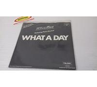 Frank Duval - What a day (1984, feat. Peter Bischof) / Vinyl single [Vinyl-Single 7'']