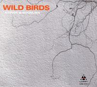 Frank Kvinge - Wild Birds - New CD - O4z