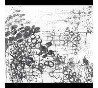 Frank London - Brass Conspiracy