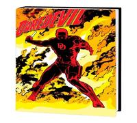 Frank Miller Daredevil: Born Again Gallery Edition Hardcover Book Frank Miller Multicolor