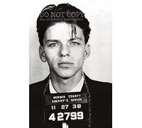 Frank Sinatra Mug Shot 11 X 17 - Magnificent 1938 Mugshot Arrest Photograph - Busted In Bergen County - Rare Photo - Poster Art Print