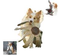 Frank the Dogtopus, Interactive and Indestructible Dog Chew Toys, The Dogs Puzzle Toy Outsmart Boredom, Snack Dispensing Dog Toy, Engaging Challenge for Small, Medium, Large Pet (large*1)
