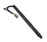 Frankberg 1x Auto Gas Strut Tailgate Left Compatible with X4 F26 M40 xDrive20 xDrive28 xDrive30 xDrive35 SUV 2014-2018 Replace# 51247339431