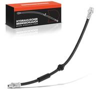 Frankberg 1x Brake Kit Brake Disc Pad Front Axle Compatible with M.i.n.i R50 R52 R53 R56 R57 R58 1.4L-2.0L 2002-2015 M.i.n.i Clubman/R.o.a.d.s.t.e.r/Clubvan Replace# 34306781667