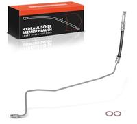 Frankberg 1x Brake Kit Brake Disc Pad Rear Right Compatible with P.a.s.s.a.t 3B2 1.6L-2.8L 1996-2000 A6 4B2 C5 1.8L-3.0L 1997-2005 Replace# H620636