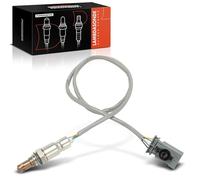 Frankberg 1x Oxygen Sensor Compatible with Ducato Bus 250 2015-2024 Ducato Box 250 2011-2024 Ducato Platform/Chassis 250 2006-2024 Replace# 55272037