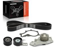 Frankberg 1x Timing Belt Repair Kit Compatible with C3 II SC DS3 SA Fiesta V JD JH Fiesta VI CB1 CCN Fiesta VI Van K.u.g.a II DM2 2 DE DH 207 WA WC 2008 I CU 206+ 2L 2M
