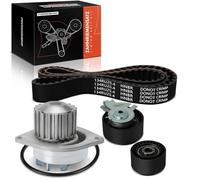 Frankberg 1x Timing Belt Repair Kit Petrol Compatible with 207 WA WC 206 CC 2D 206 Hatchback 2A/C 206 Saloon 206 SW 2E/K 307 Break 3E 307 CC 3B 307 SW 3H 308 SW I 4E 4H