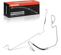 Frankberg 2x Brake Hose Hydraulic Brake Kit Brake Disc Pad Rear 8200173526