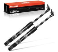 Frankberg 2x Gas spring damper rear window 55136965AA