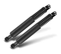 Frankberg 2x Gas Strut Tailgate Left And Right Compatible With 5 Series E39 520-540 1997 1998 1999 2000 2001 2002 2003 2004 Replace# 51247204367