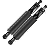 Frankberg 2x Gas Strut Tailgate Left And Right Compatible With C.a.y.e.n.n.e 955 SUV 2007 2008 2009 2010 Replace# 95551255006 95551255007