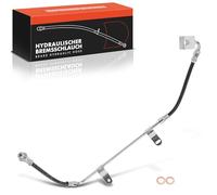 Frankberg Brake Hose Hydraulic Brake Brake Disc Pad Rear Rückseite 2203805