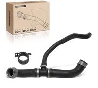 Frankberg CoolantHose EngineHose Compatible with S-Class V221 W221 S-Class Coupe C216 Replace# 2215016884