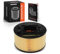 Frankberg Engine Air Filter 13717503141