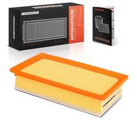 Frankberg Engine Air Filter 9800097580