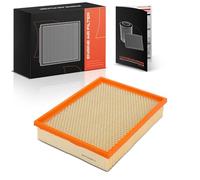 Frankberg Engine Air Filter petrol 13363973