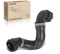 Frankberg Engine RadiatorHose Petrol Compatible with 1 Series E81 E87 130i 1 Series E88 128i 3 Series E90 323i 325i 325xi 328i 3 Series Coupe E92 328i 3 Series Touring E91 325i Replace# 17127531581