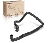 Frankberg Engine RadiatorHose Petrol Compatible with M.i.n.i R56 C.o.o.p.e.r One 1.4L 1.6L M.i.n.i Cabriolet R57 C.o.o.p.e.r One 1.6L Replace# 17122754247