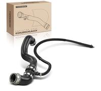 Frankberg Engine RadiatorHose Upper Compatible with C-Class W203 C230 C280 C350 C-Class Coupe CL203 C-Class T-Model S203 CLC-Class CL203 CLC230-CLC350 Replace# 2035014582