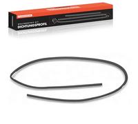 Frankberg FR.A.Me Windshield Windshield Gasket Compatible with 3 Series Cabriolet E46 3 Series Coupe E46 Replace# 51318208468