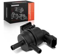 Frankberg Fuel Tank Breather Valve Vent 2-pin petrol 289103C200