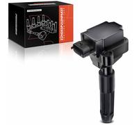 Frankberg Ignition Coil 0001501780