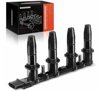 Frankberg Ignition Coil 1208021