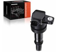 Frankberg Ignition Coil 27301-04000