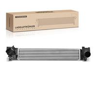 Frankberg Intercooler Turbo Cooler Compatible with M.i.n.i F55 F56 Cooper One 2013 Today Replace# 17517617596
