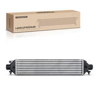 Frankberg Intercooler Turbo Hose Pipe Compatible with Giulietta witho 500 595 695 Bravo II Doblo Cargo Punto Delta III Combo Replace# 51833106