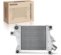 Frankberg Intercooler Turbo Hose Pipe Engine Radiator A4461-EQ40A