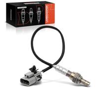 Frankberg Lambda Sensor Control Probe Compatible with G20 I30 Q45 QX4 200SX 300ZX Frontier Maxima NX Pathfinder Sentra Xterra 1.6L-4.5L 1984-2003