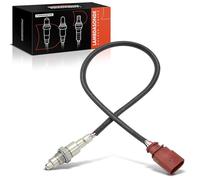 Frankberg Lambda Sensor Control probe Compatible with Ibiza IV 6J5 6P1 1.0L 2015-2017 Fabia III NJ3 1.0L 1.6L 2014-2024 Polo 6C1 6R1 1.0L 2014-2024 Replace# 04C906262J