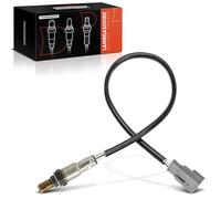 Frankberg Oxygen Sensor Compatible with witho 955 500 312 500 C 312 Fiorino MPV 225 Fiorino Box/MPV 225 312 319 Van 312 519 Punto 199 Qubo 225 KA RU8 Replace# 55259033